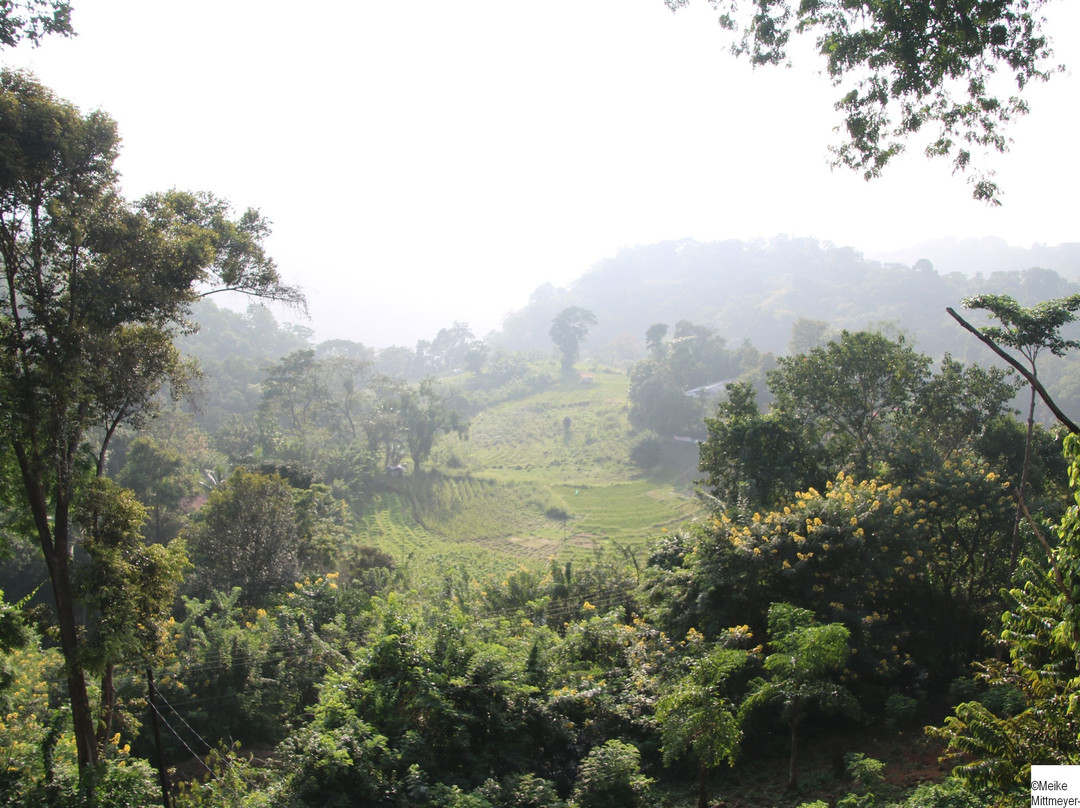 艾拉普朗特别墅主图