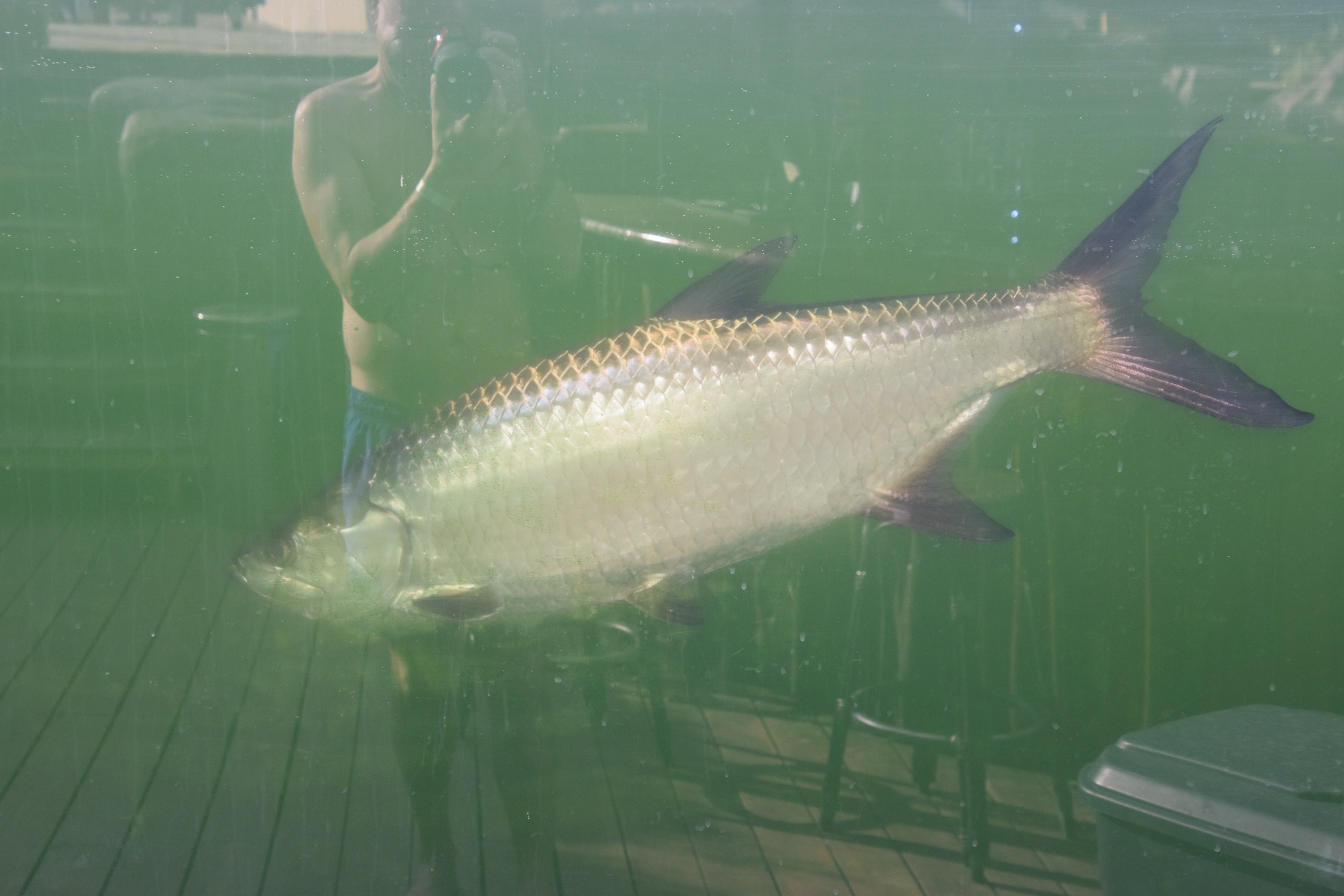 Jacana Amazon Wellness Resort-浴室