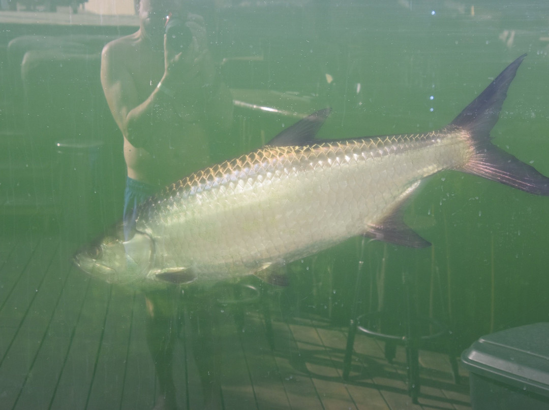 Jacana Amazon Wellness Resort主图