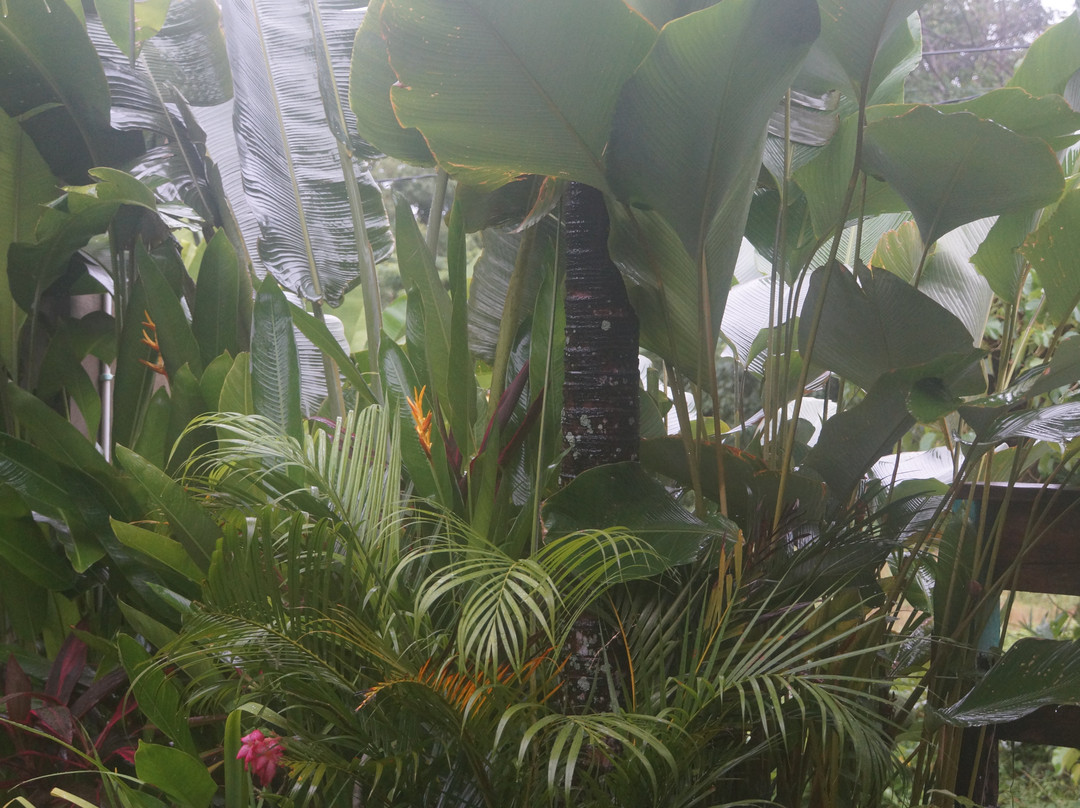 Seaside Tribe - Boutique Surf Stay & Retreat主图