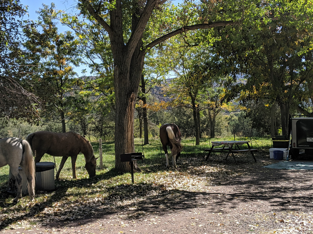 Gila Hot Springs Ranch主图