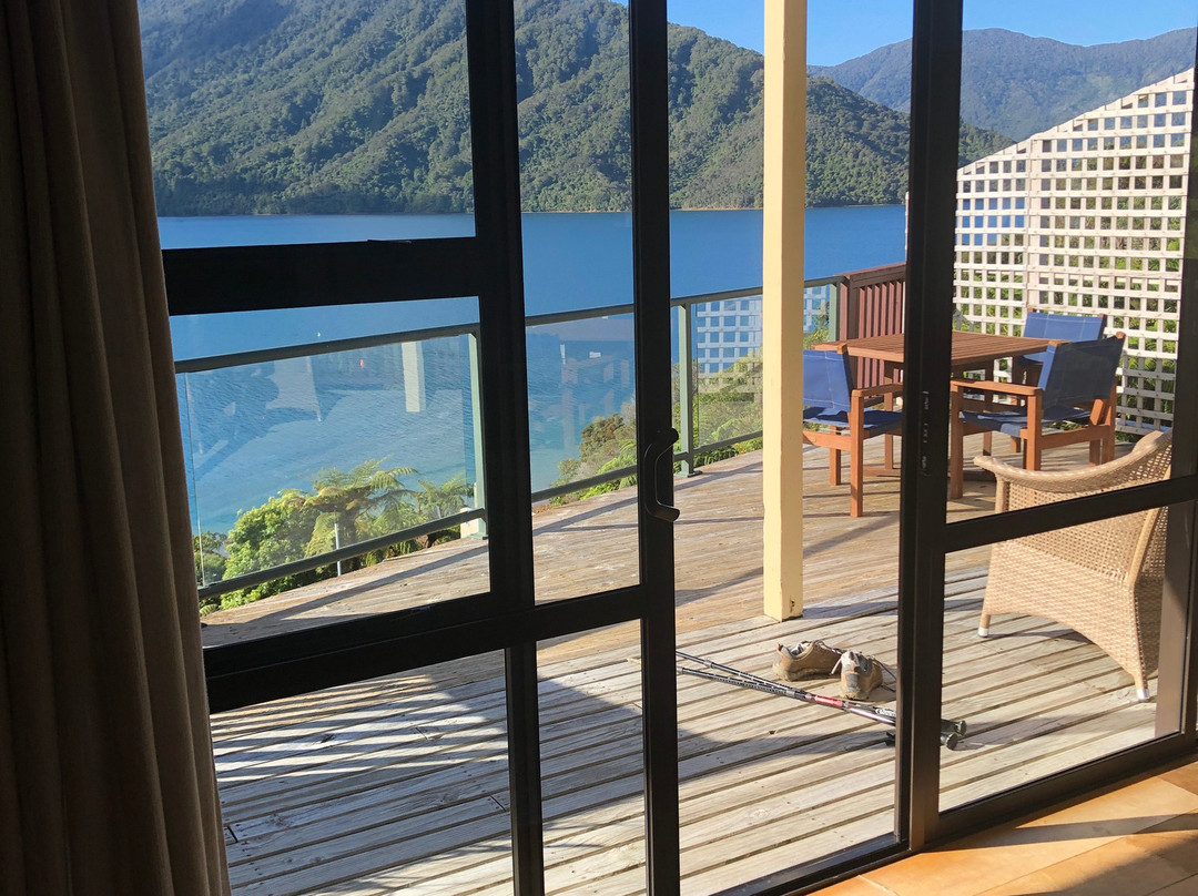 Punga Cove Resort主图