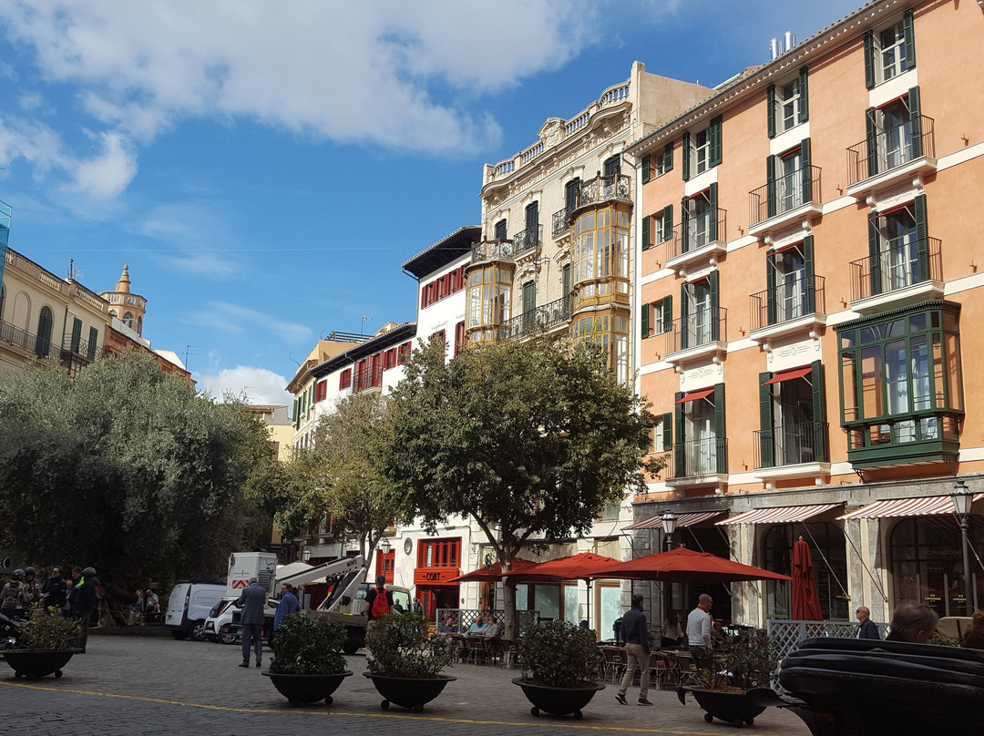 Plaça de Cort景点图片