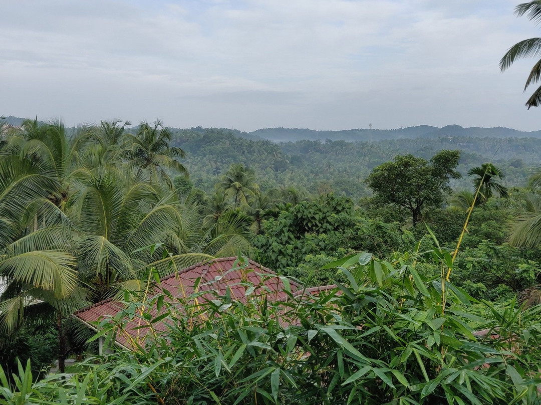 Le Candles Resort主图