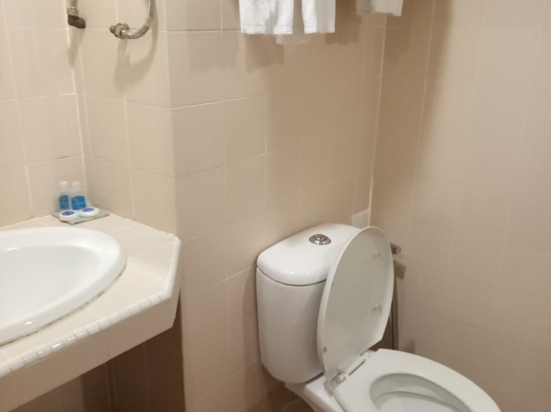 阿鲁大酒店主图