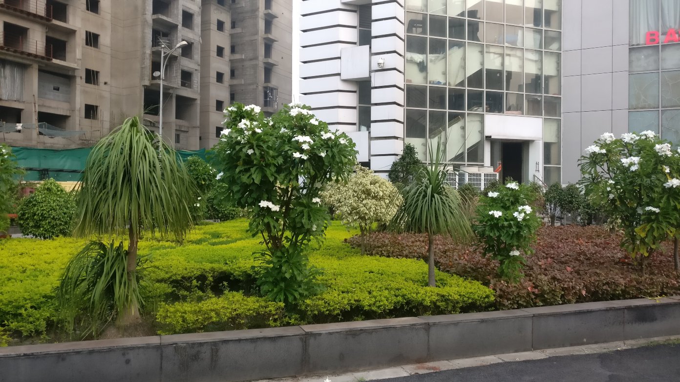 加尔各答傲世广场酒店-浴室