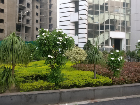 加尔各答傲世广场酒店主图