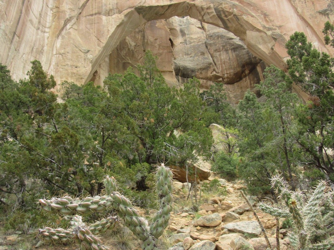 La Ventana Natural Arch-Grants必去景点
