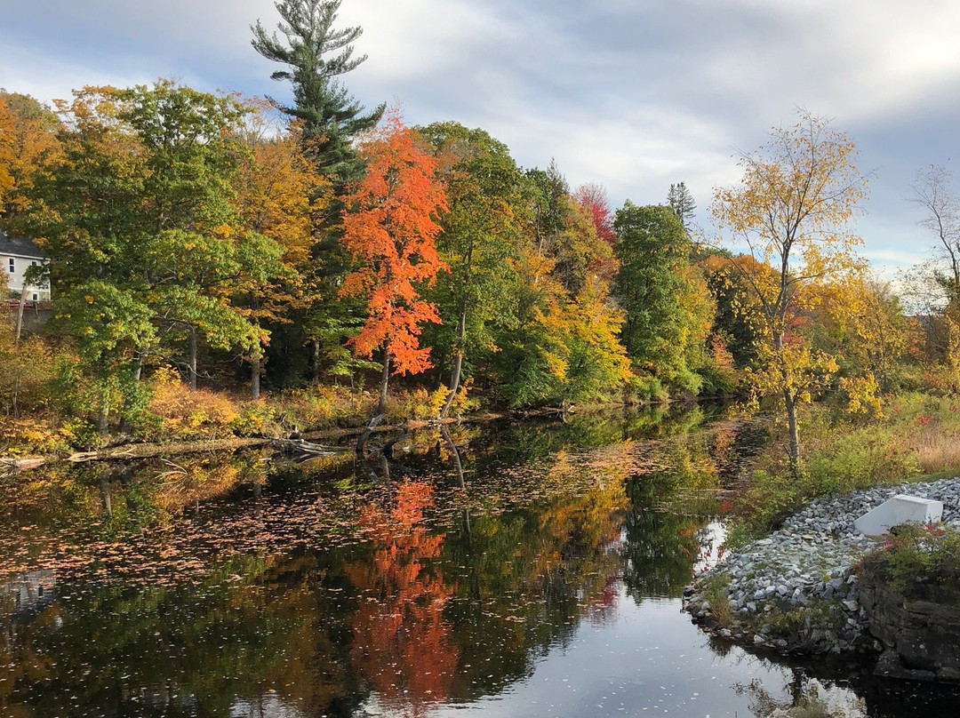 惠特科姆豪斯布里奇住宿加早餐酒店主图