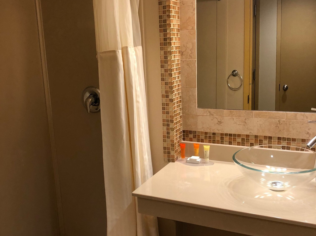 University Hotel at Sam Houston State主图