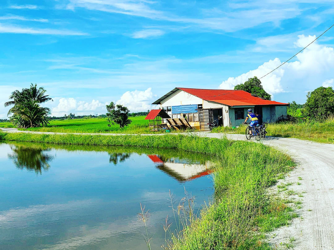 Matahari骑行之旅-乔治城必去景点