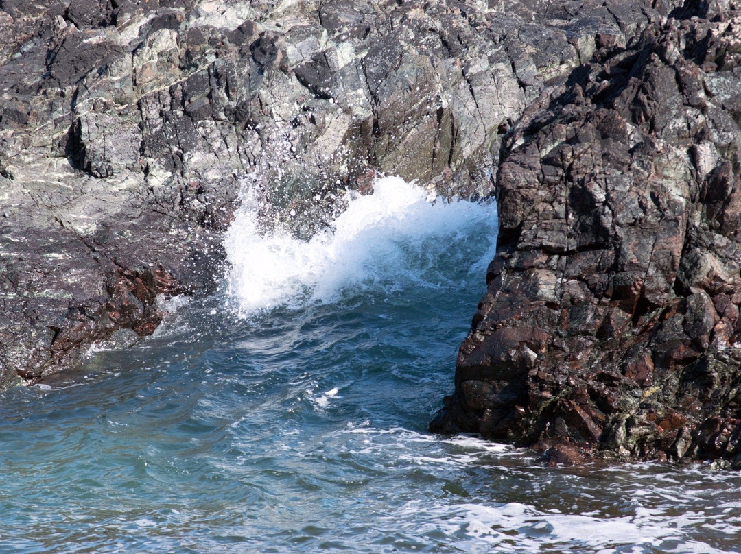 Predannack Downs Nature Reserve-康沃尔必去景点