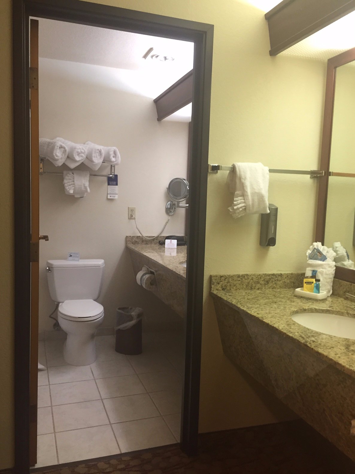 Best Western Plus Mill Creek Inn-浴室