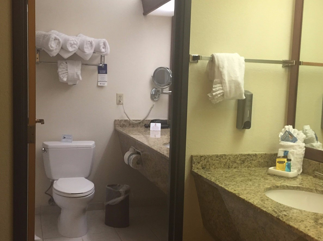 Best Western Plus Mill Creek Inn主图