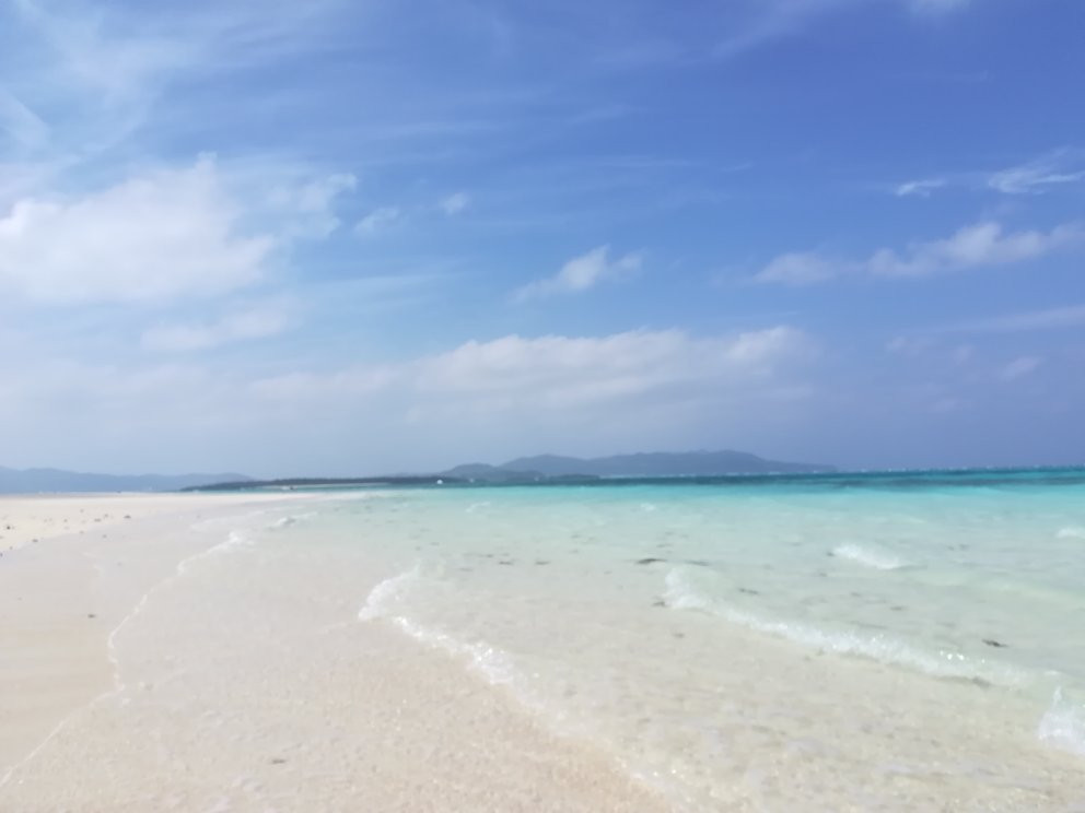 Bird Island景点图片