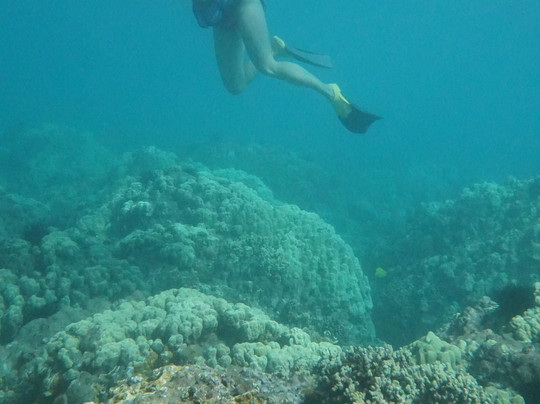 Gotcha Snuba-怀露库必去景点