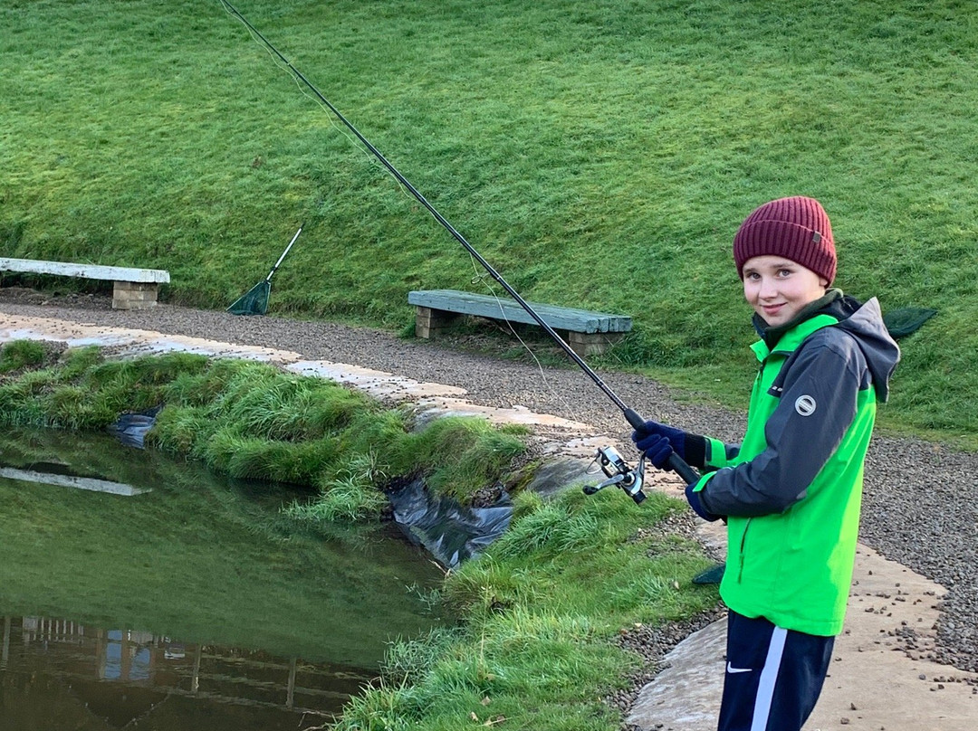 New Mills Trout Fishing Park景点图片