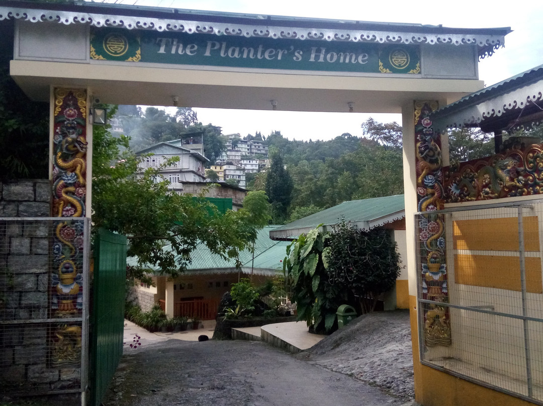 The Planters Home主图