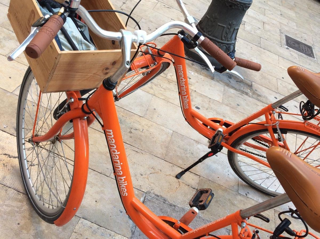 Mandarina Bikes景点图片