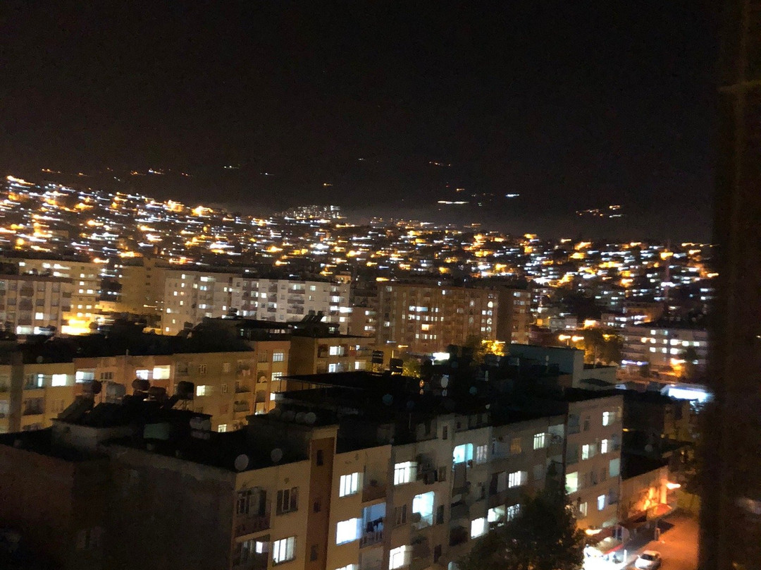 Saffron Kahramanmaras主图