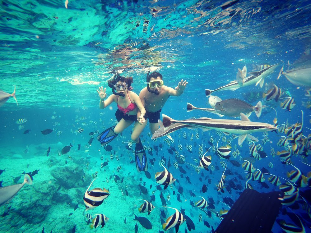 Hulhumale' Excursions & Tours-胡鲁马累必去景点