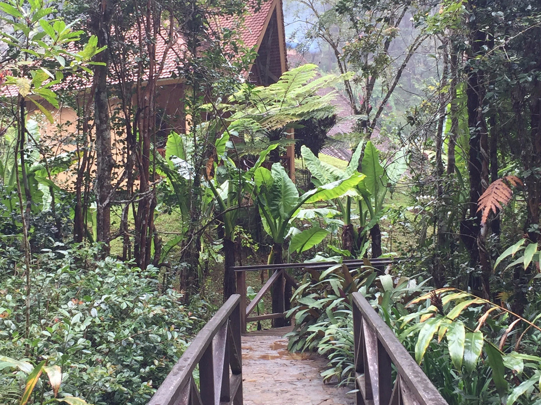 Vakona Forest Lodge主图