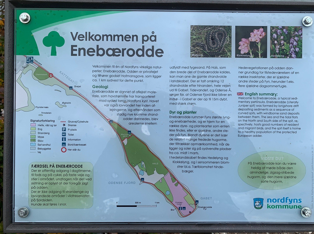 Enebaerodde-Otterup必去景点