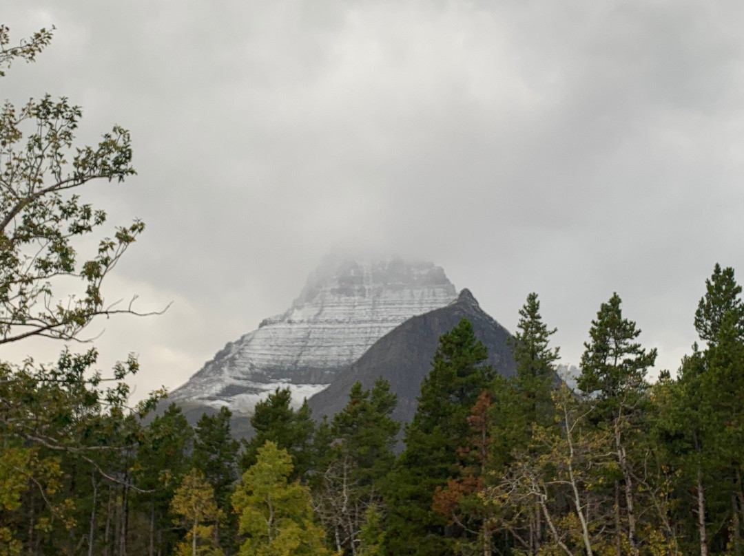 跳舞熊酒店主图