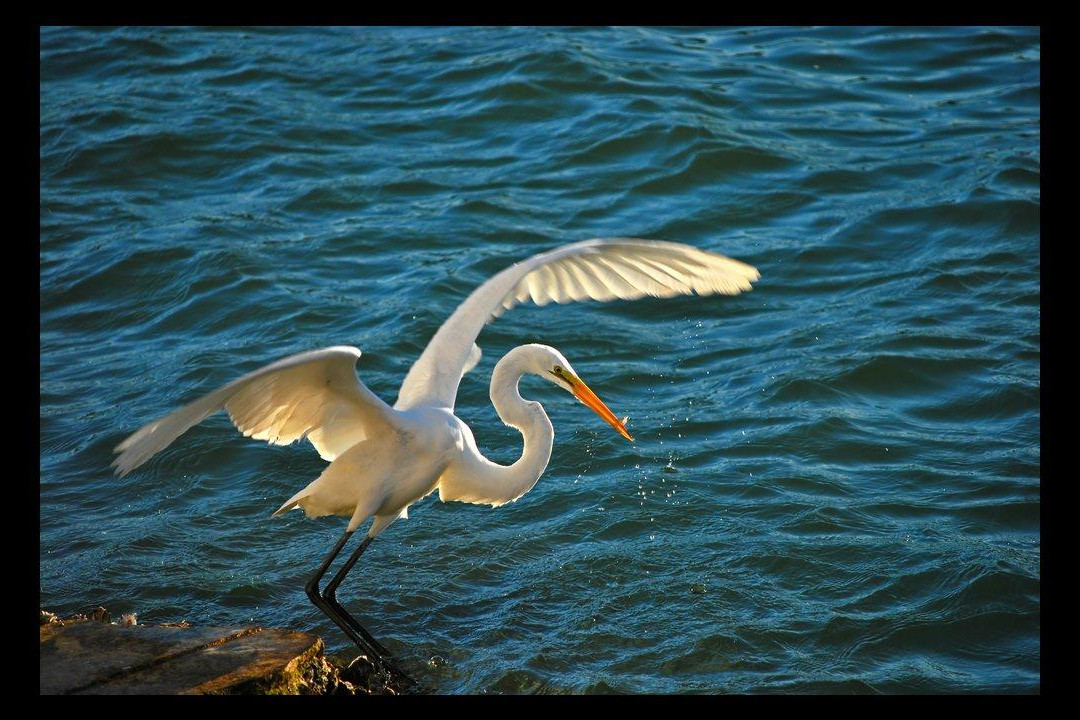 Virgin Islands Ecotours-圣 托马斯必去景点