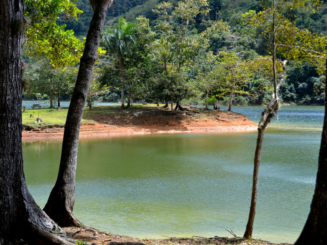Lago Luchetti-Yauco必去景点