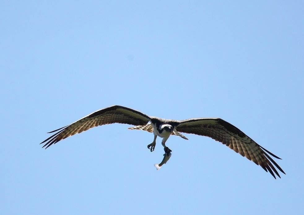 Sauvie Island Farms-波特兰必去景点