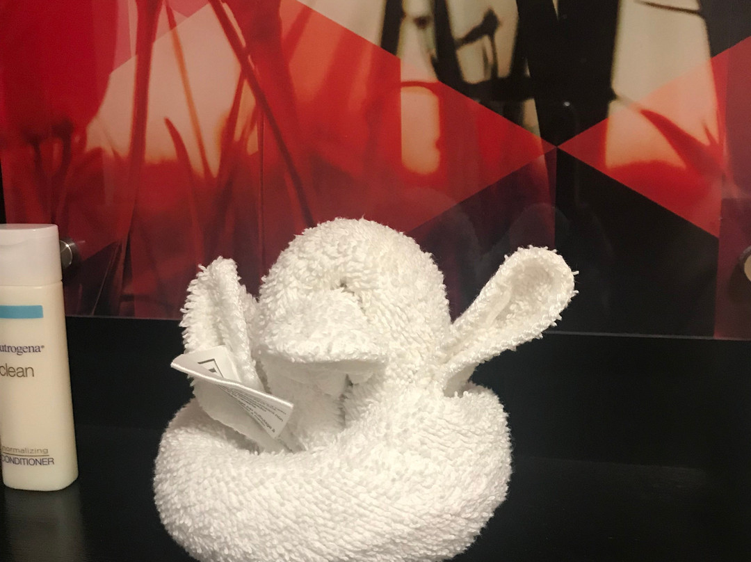 伊萨卡希尔顿惠庭套房酒店主图