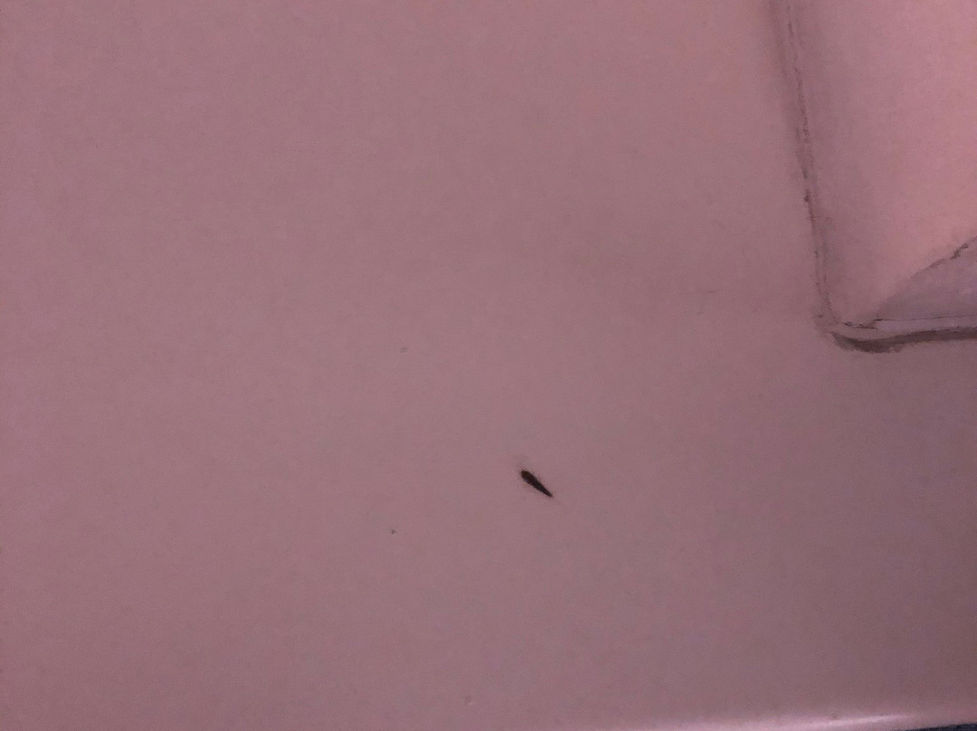 Am Fischereihafen主图