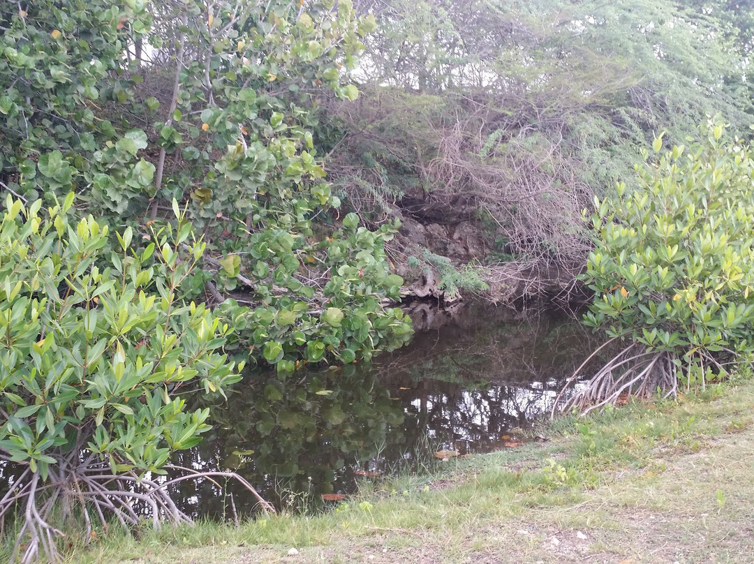 Nigua Ecological Park景点图片