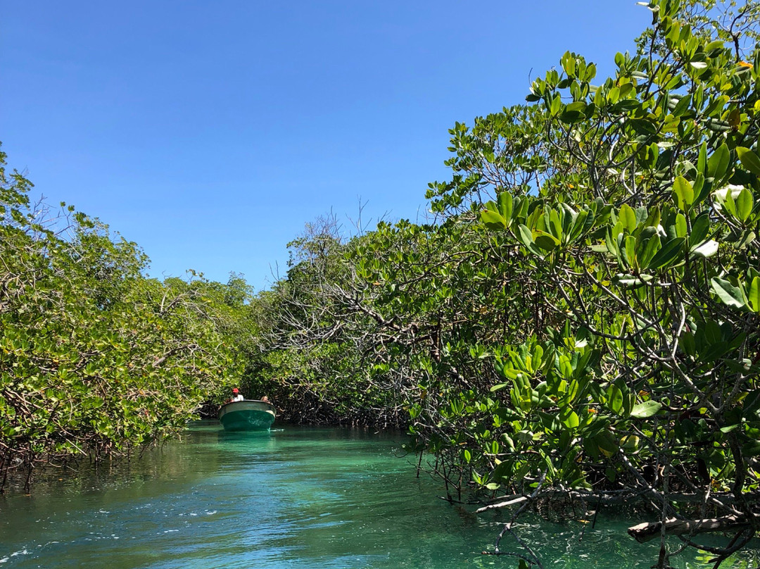 Paraiso Ecolodge主图