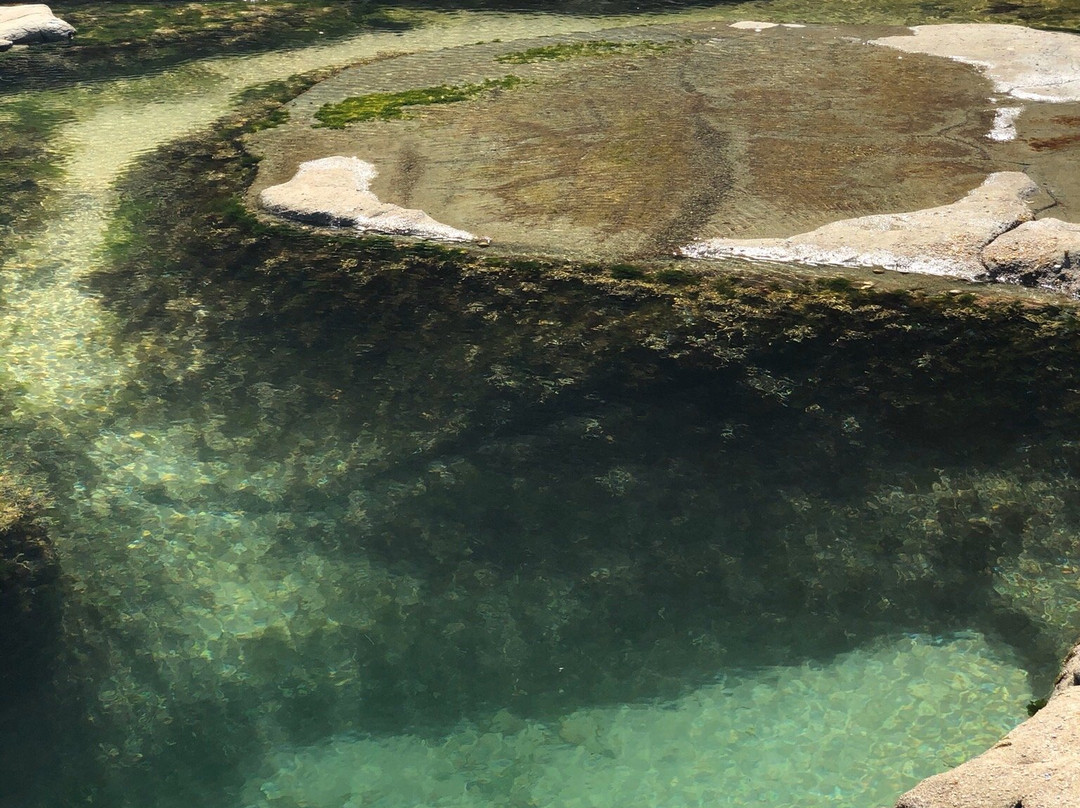 Figure Eight Pools-Royal National Park必去景点
