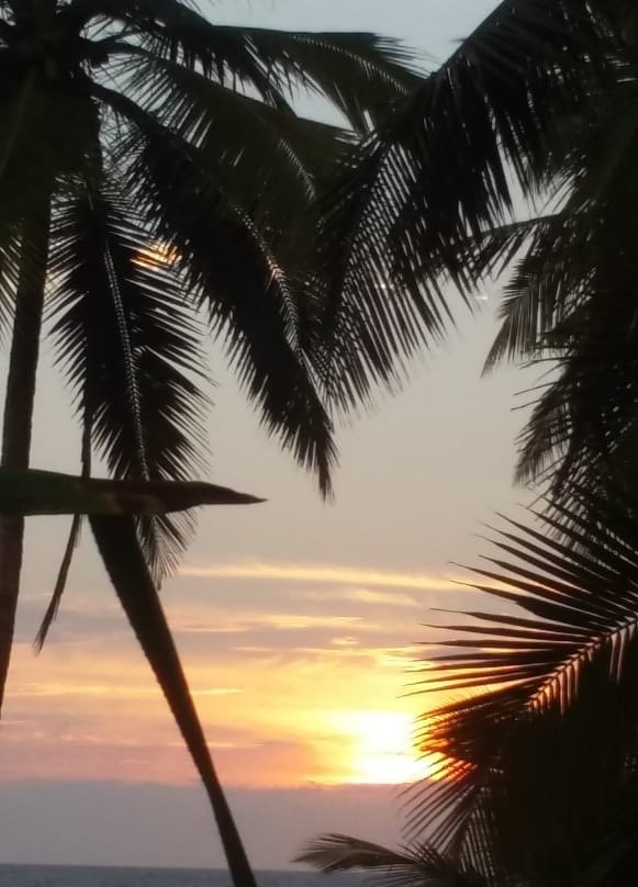 The Linta's Golden Beach主图