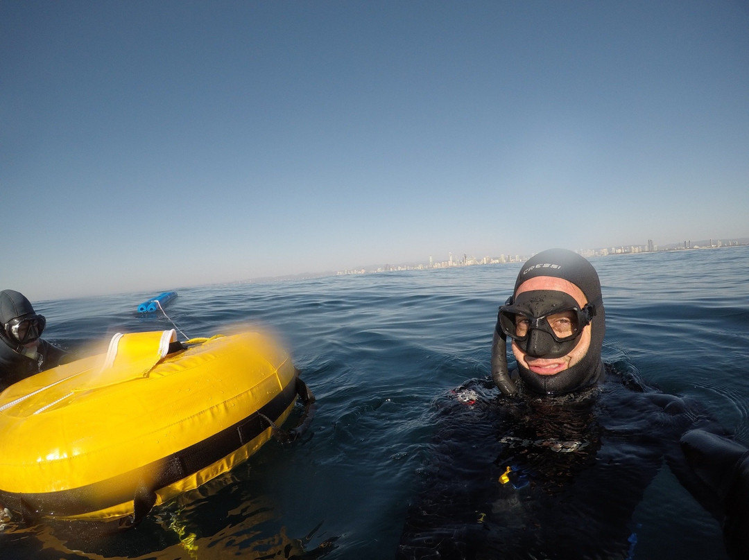 Freediving Gold Coast景点图片