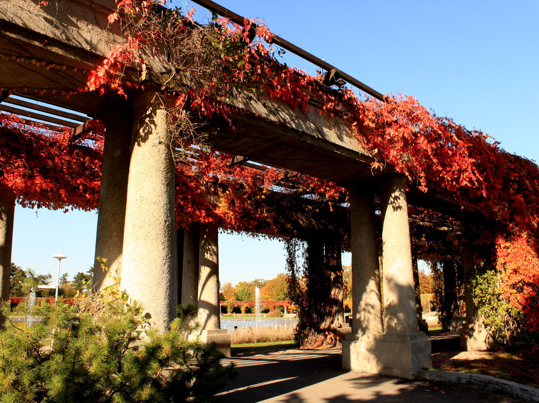 Anna Osypiuk Tours of Wroclaw-弗罗茨瓦夫必去景点