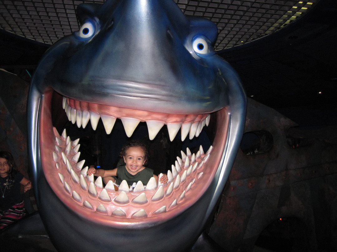 The Seas with Nemo & Friends-奥兰多必去景点