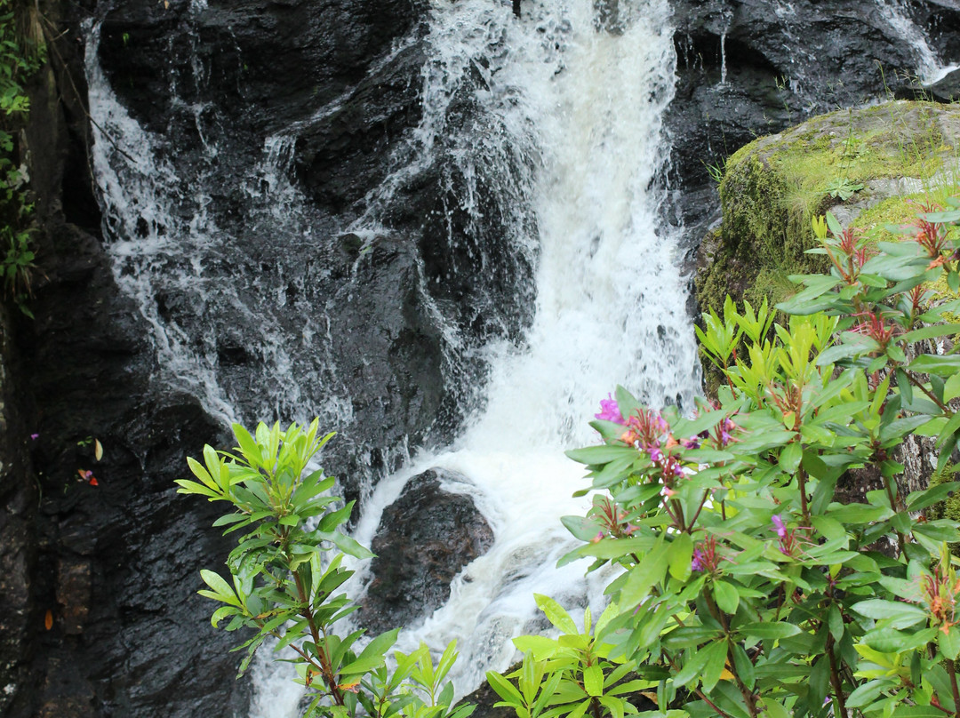 Arklet Falls景点图片