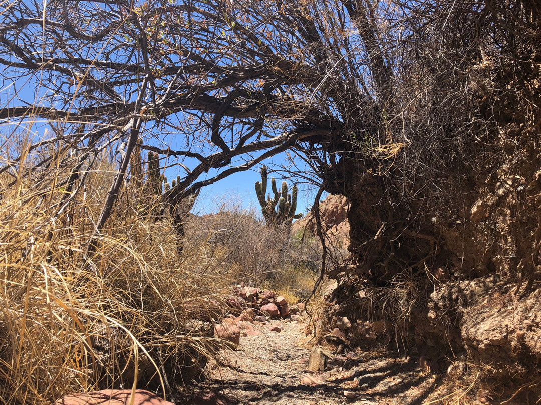 Canon del Inca-Tupiza必去景点