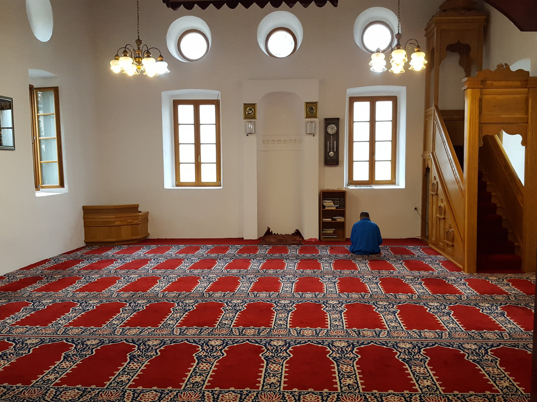 Starodoganjska Mosque-波德戈里察必去景点
