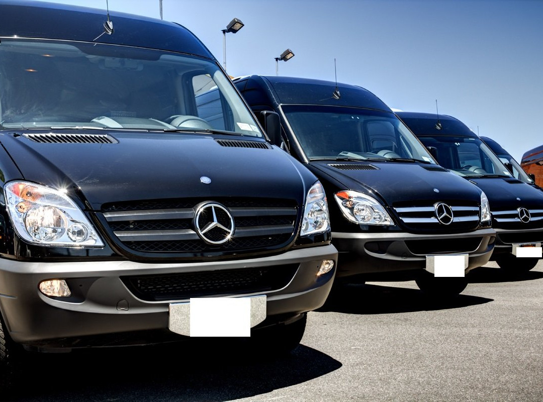 Luxe Limo Service景点图片