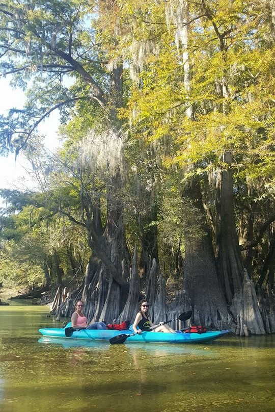 Honey Island Kayak Tours景点图片