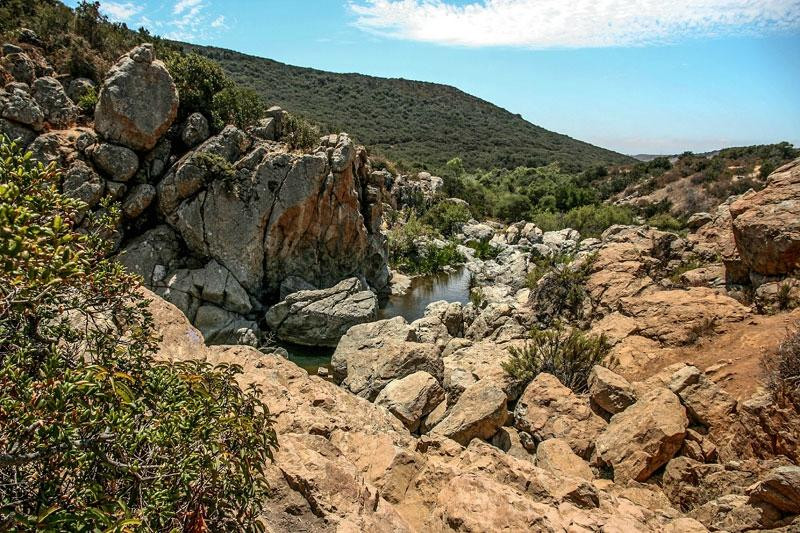 Los Peñasquitos Canyon Preserve景点图片