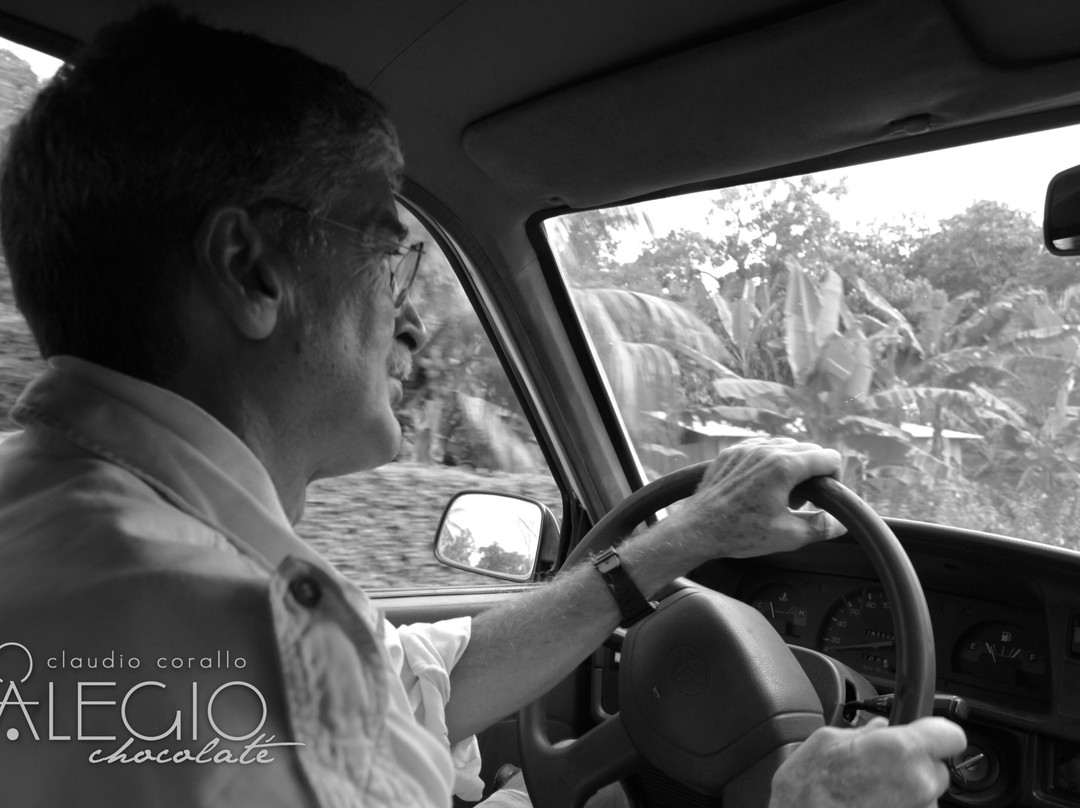 Alegio Chocolaté-帕罗奥多必去景点