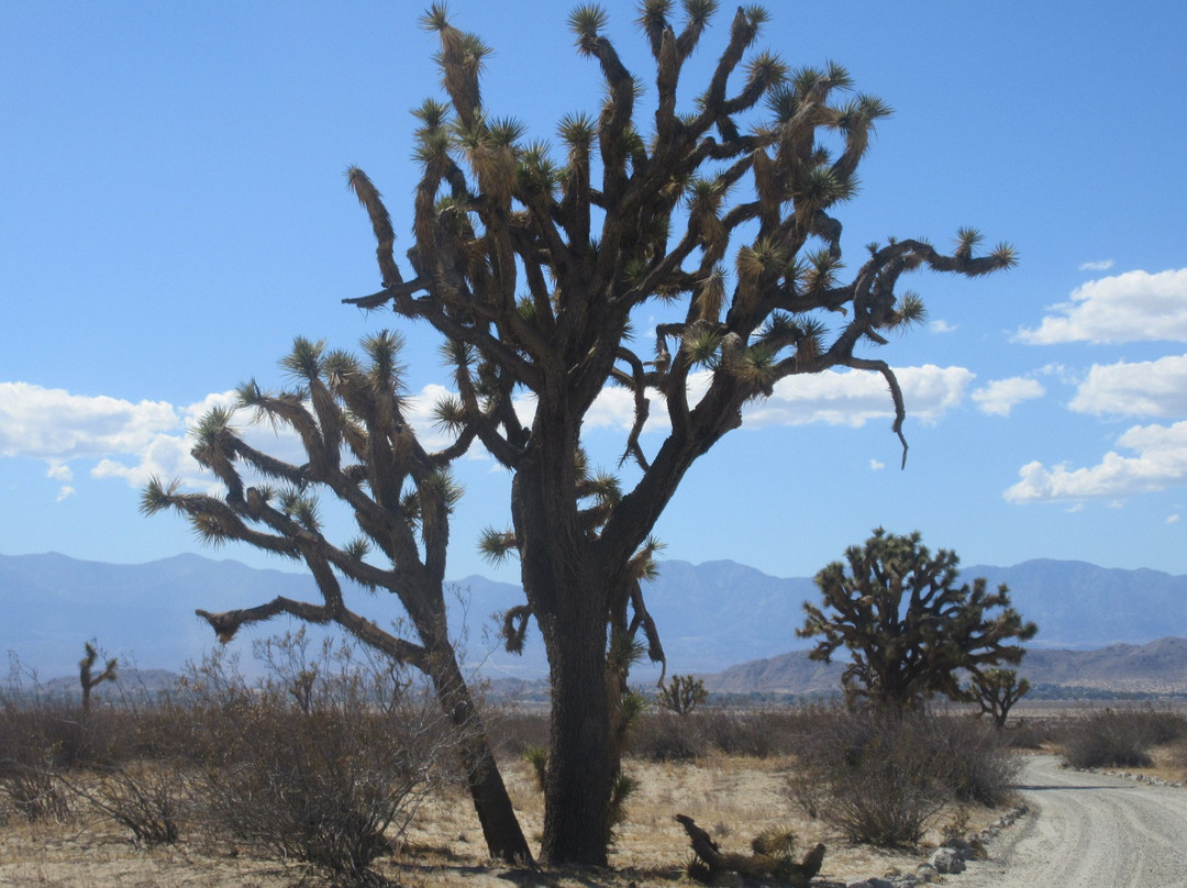 Saddleback Butte State Park