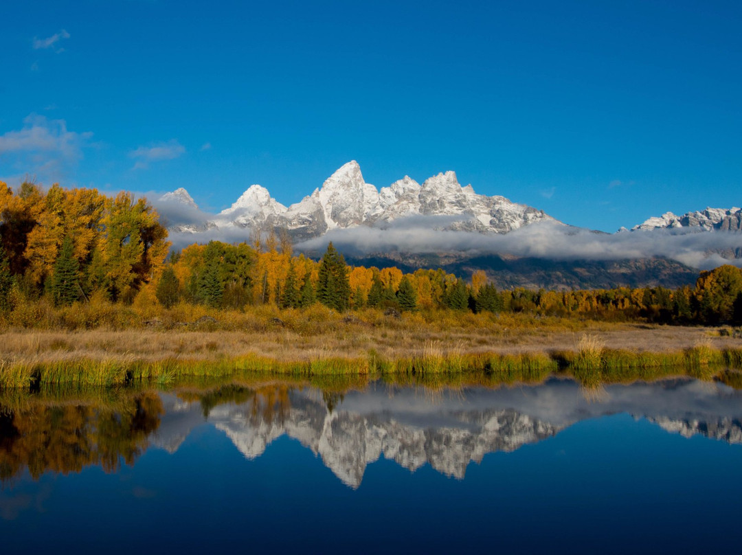 Wild Things of Wyoming-提顿村必去景点