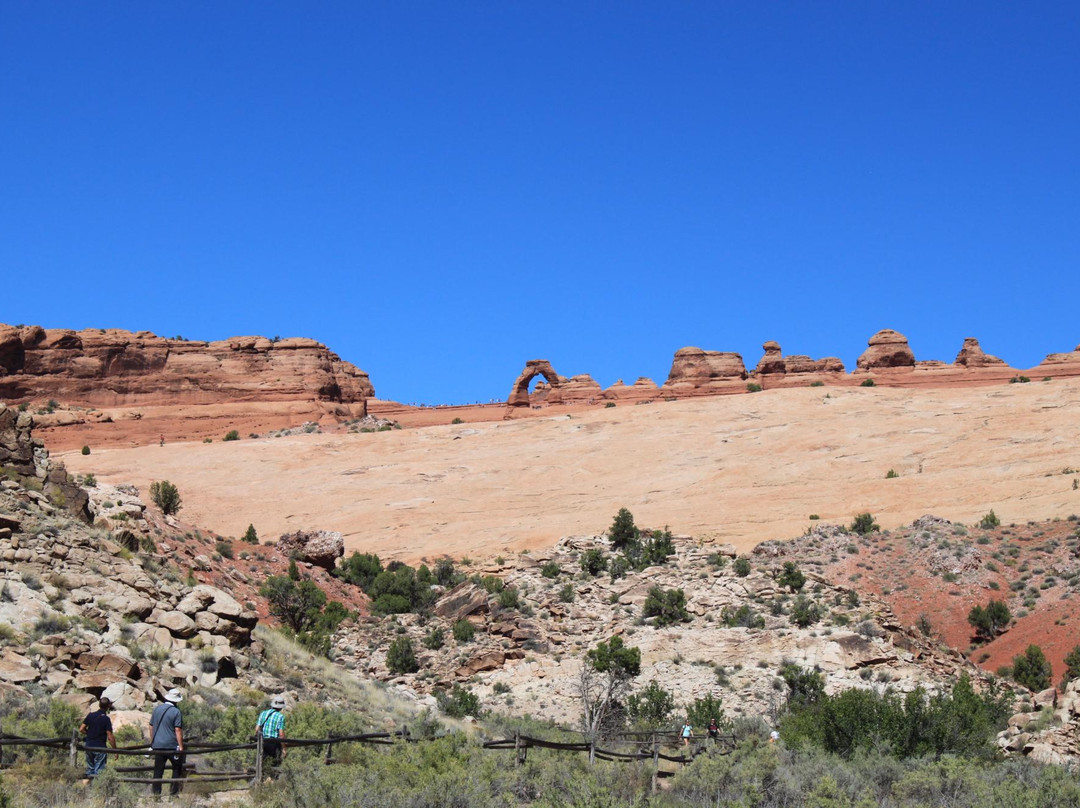 Lower Delicate Arch Viewpoint景点图片